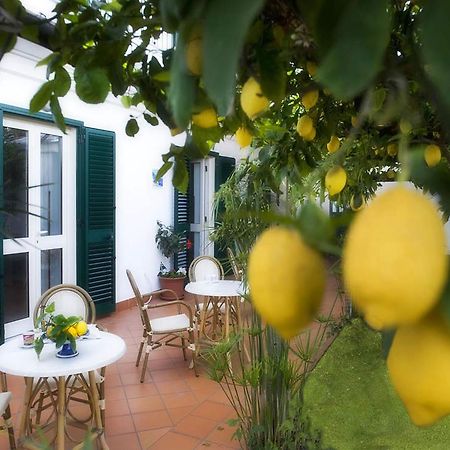 B&B Ravello Rooms Εξωτερικό φωτογραφία