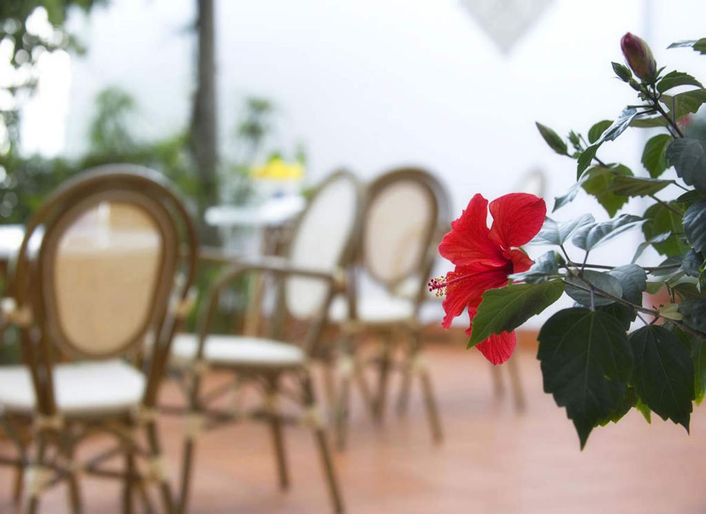 B&B Ravello Rooms Εξωτερικό φωτογραφία